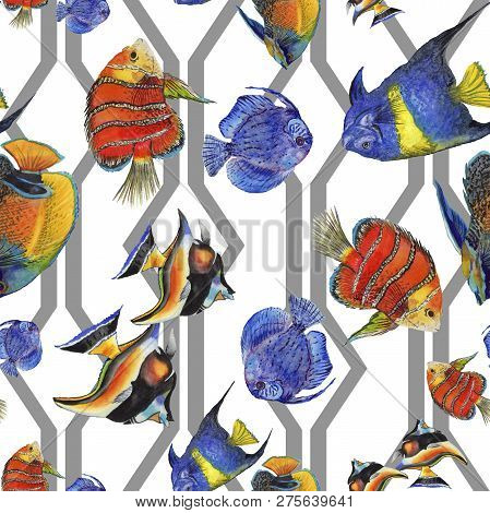 Watercolor Aquatic Underwater Colorful Tropical Fish Illustration Set. Seamless Background Pattern.