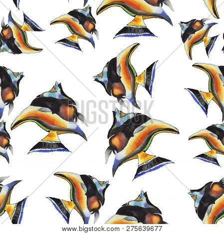 Watercolor Aquatic Underwater Colorful Tropical Fish Illustration Set. Seamless Background Pattern.