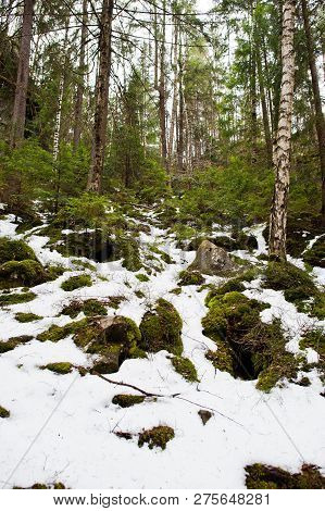 Dovbush Rocks In Snow Forest At Carpathian Mountains.