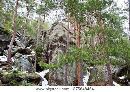 Dovbush Rocks In Green Forest At Carpathian Mountains.