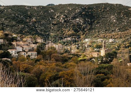 Ancient Mountain Village Of Feliceto In The Balagne Region Of Corsica Surrounded By Autumnal Trees