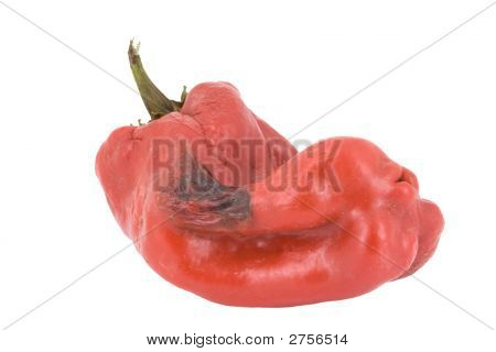 Paprika shnilé nebo Pimento izolovaných na bílém