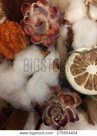 Autiful Festive Christmas Composition, Cotton, Cinnamon, Lime In A Box. Natural And Organic Christma