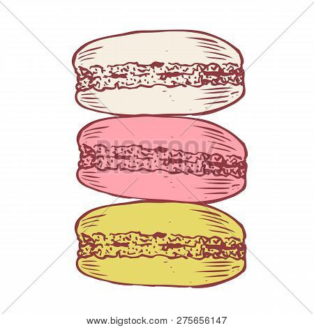 Delicious Hand Drawn French Macarons. Engraving Style Pen Pencil Painting Retro Vintage Vector Linea