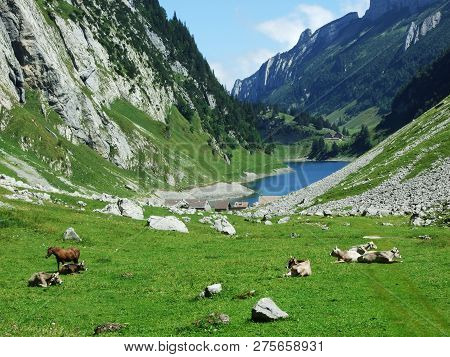 Alpine Lake Fahlensee In Mountain Range Alpstein - Canton Of Appenzell Innerrhoden, Switzerland