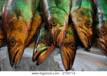 Pesce