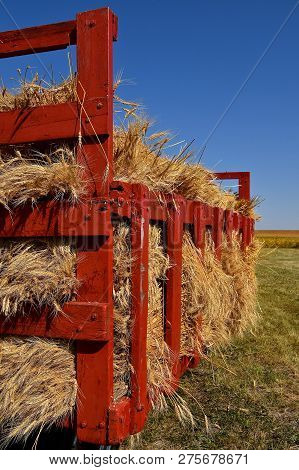 A Red Wooden Hayrack Is Loaded With Wheat Bundles To Be Sent Through An Old-fashioned  Threshing Mac