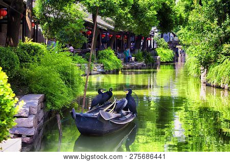 Luzhi Ancient Town, China.  August 1, 2015.  Cormorants Sitting On A Boat On The Water Canals Of Luz