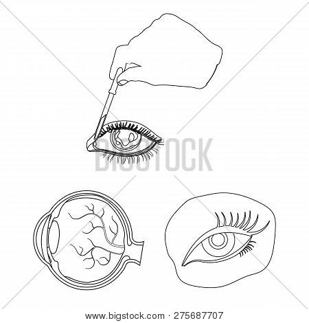 Vector Design Of Medical And Eyeball Logo. Collection Of Medical And Optical Stock Vector Illustrati