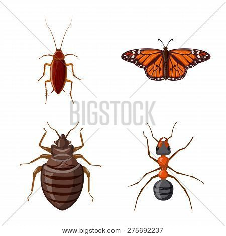 Vector Design Of Insect And Fly Symbol. Collection Of Insect And Element Vector Icon For Stock.