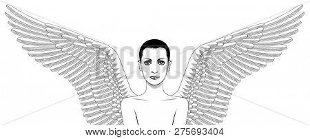 Angel girl with wings. Angels wings. Ornamental style element. Vintage design elements. 