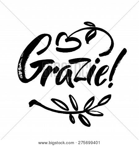 Grazie - Thank You In Italian. Calligraphy Inscription, Black Word On White Background. Handwritten 