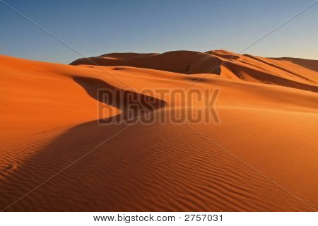 Desert ensomhed