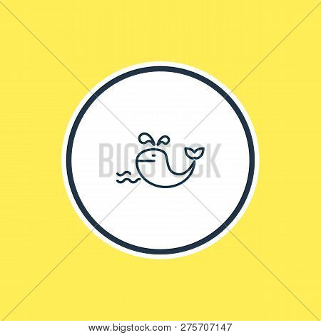 Illustration Of Whale Icon Line. Beautiful Sea Element Also Can Be Used As Cetacean Icon Element.