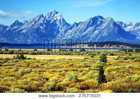 Mount Grand Teton From Willow Flats In Grand Teton National Park, Wyoming