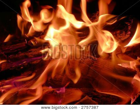 Fogo