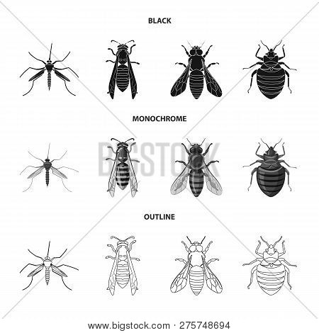 Vector Illustration Of Insect And Fly Sign. Collection Of Insect And Element Vector Icon For Stock.