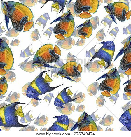 Watercolor Aquatic Underwater Colorful Tropical Fish Illustration Set. Seamless Background Pattern.