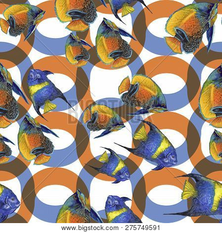 Watercolor Aquatic Underwater Colorful Tropical Fish Illustration Set. Seamless Background Pattern.