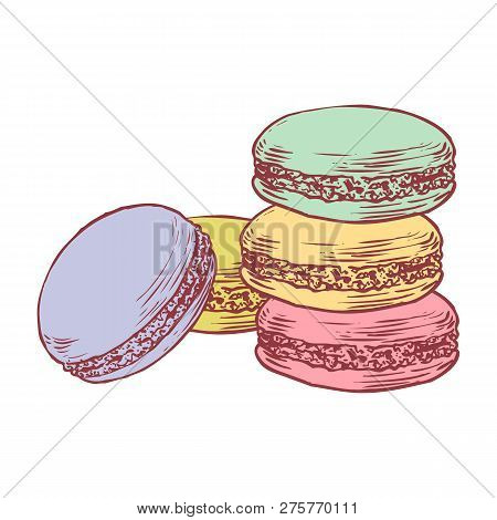 Delicious Hand Drawn French Macarons. Engraving Style Pen Pencil Painting Retro Vintage Vector Linea