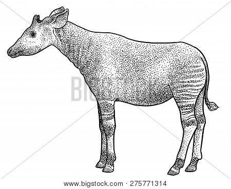 Warthog, Africa African, Africanus Animal, Baby, Big Body, Calf, Cute Dangerous, Ecology, Face Hair,