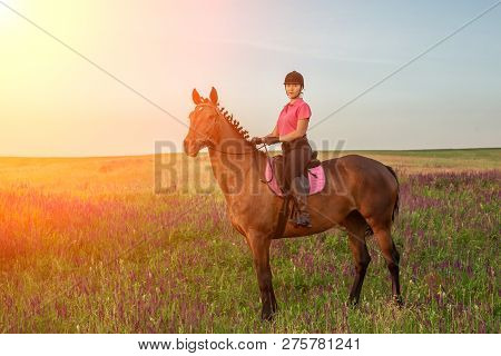 Horsewoman Jockey In Uniform Riding Horse Outdoors