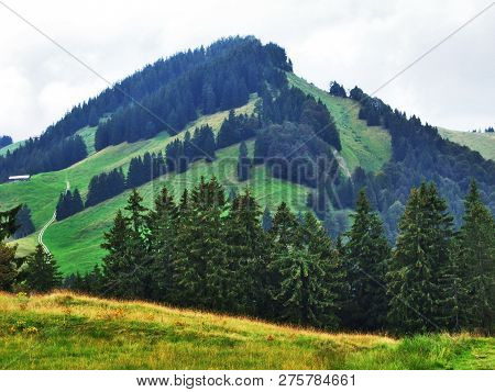 Subalpine Forests In The Ostschweiz Region - Canton Of Appenzell Ausserrhoden, Switzerland