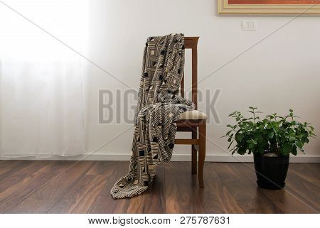 Front View Of Wooden Chair, Plaid And Potted Gardenia Plant In Living Room. Interior Design Decorati