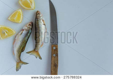 Top View Of Fresh Catch Uncooked Fish And Raw Lemons On White Background, Healthy Eating Concept, Sp