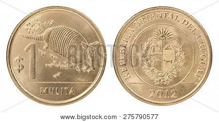 Two Uruguayan Pesos With The Image Of An Armadillo Isolated On White Background