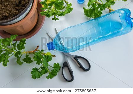 Recycled Plastic Bottle Gardening. Top View Of Plastic Bottle Ready For Fill With Soil, To Plant Pla