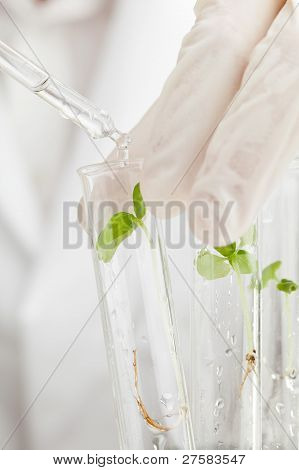 Výzkum biologie