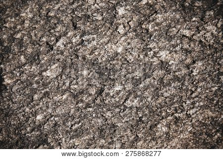 Close-up Old Aged Rustic Tree Bark In Dark Color With Natural Pattern For Use As Abstract Grunge Nat