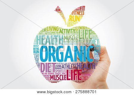 Organic Apple Word Cloud With Marker, Health Concept Background