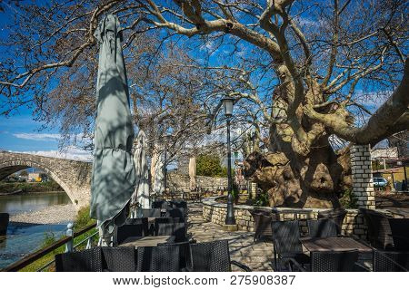 Landscape With Giant Tree Near Medieval Bridge Over River Arahthos In Arta, Greece
