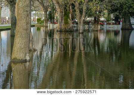 View Of The Trees In The Park Flooded By Intense Rains, Shkoder, Albania