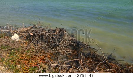 Rustikale Shoreline