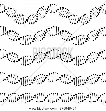Human Dna Chain Or Genome Helix Molecule Seamless Lines