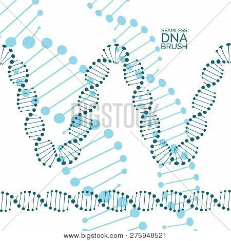 Human Dna Chain Or Genome Helix Molecule Seamless Lines