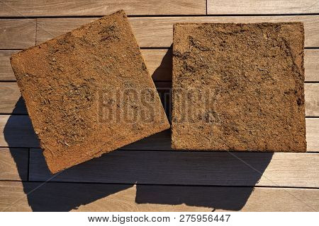Substratum texture pattern background for garden agriculture coconut fiber