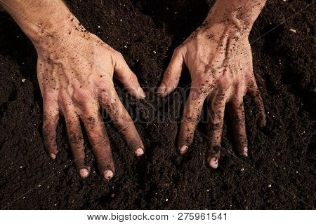 Farmer man hands dirty on substratum of urban garden orchard