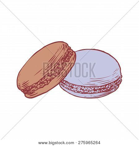 Delicious Hand Drawn French Macarons. Engraving Style Pen Pencil Painting Retro Vintage Vector Linea