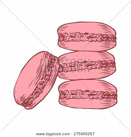 Delicious Hand Drawn French Macarons. Engraving Style Pen Pencil Painting Retro Vintage Vector Linea