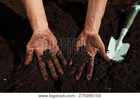 Farmer man hands dirty on substratum of urban garden orchard