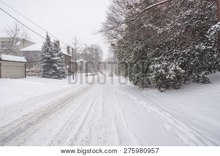 Streets And Trees Covered With Snow During Winter Snow Storm In Toronto In February