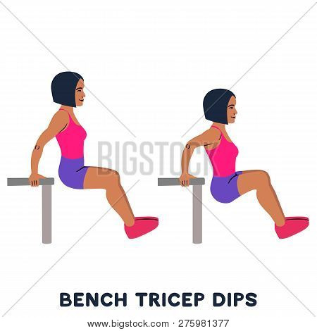 Chair. Bench Triceps Dips. Sport Exersice. Silhouettes Of Woman Doing Exercise. Workout, Training.