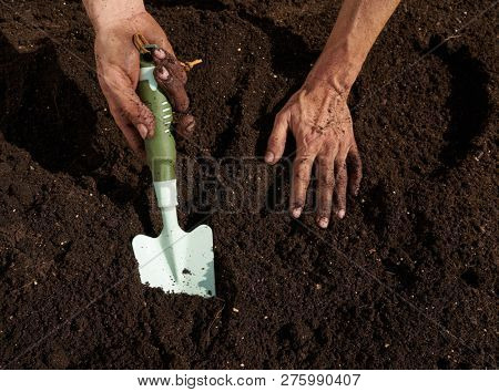 Farmer man hands dirty on substratum of urban garden orchard