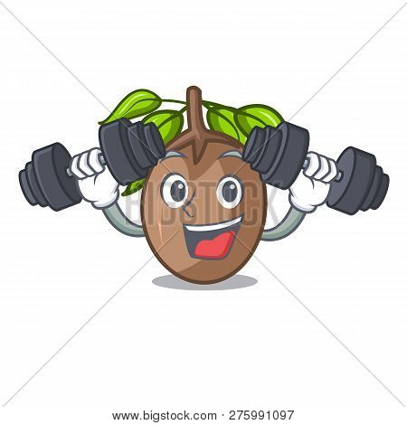 Fitness Sapodilla Fruit On The Character Bowl