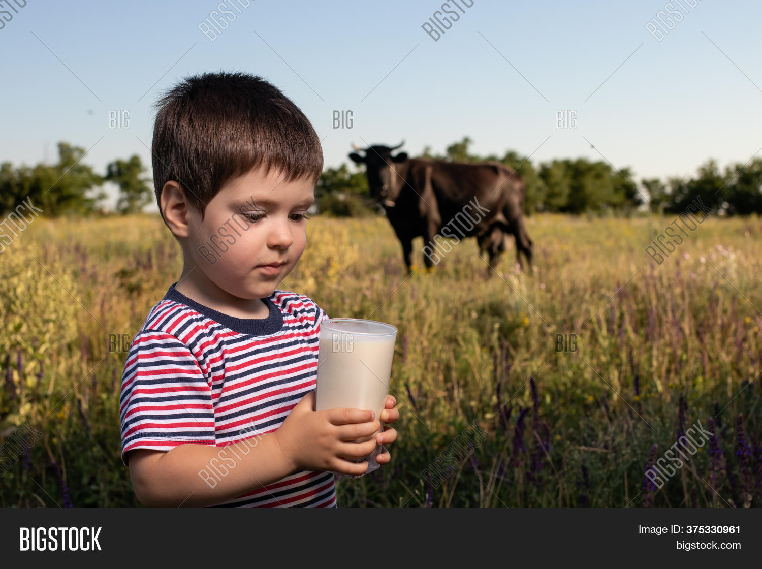 Small Child Boy Image \u0026 Photo (Free 