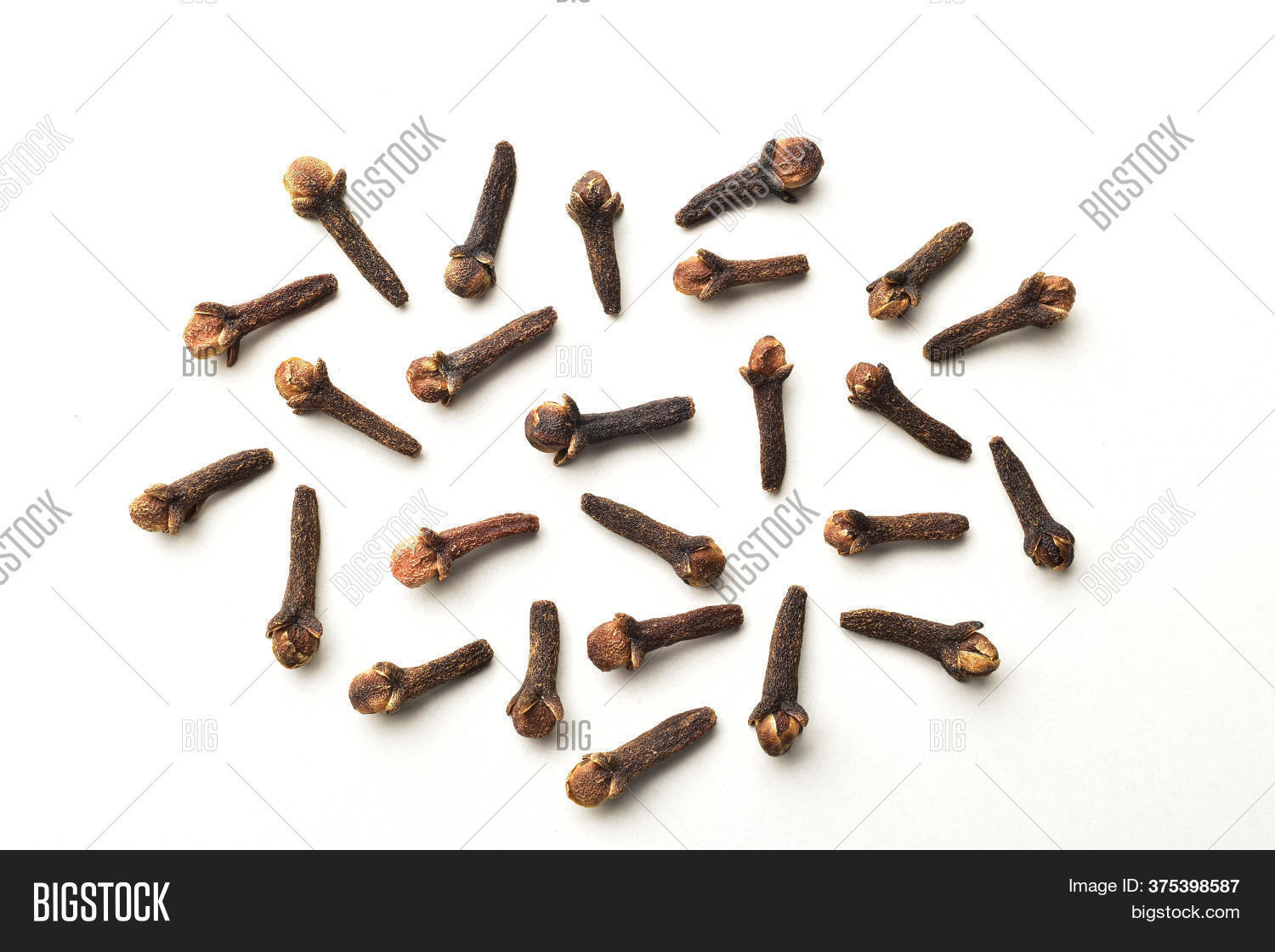 Clove Isolated On Image & Photo (Free Trial) Bigstock